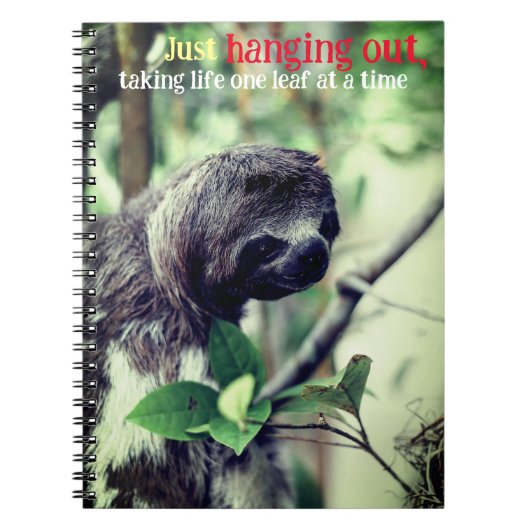 Faultier im Baum Foto Notizblock (Vorderseite)