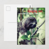Faultier im Baumfoto Postkarte (Vorne/Hinten)