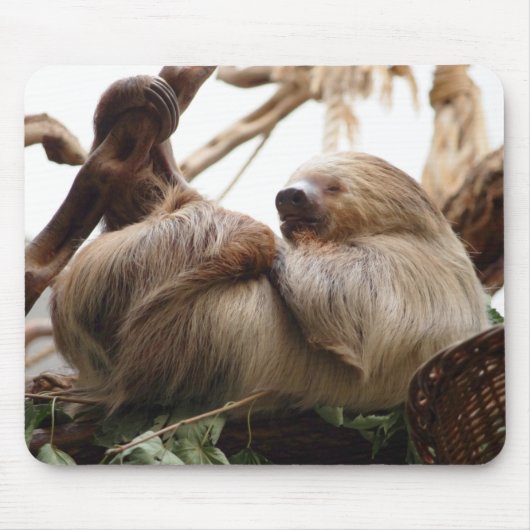 Faultier niedlich. mousepad (Vorne)