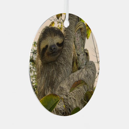 Faultier Ornament Aus Metall (Vorderseite Rechts)