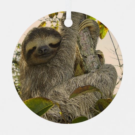 Faultier Ornament Aus Metall (Vorderseite)