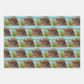 Faultier-Paar Geschenkpapier Set (Vorderseite 2)