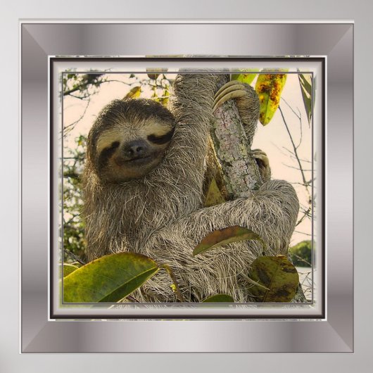 Faultier Poster (Vorne)
