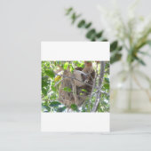 Faultier Postkarte (Stehend Vorderseite)