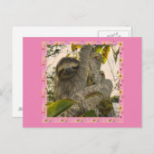 Faultier Postkarte (Vorne/Hinten)