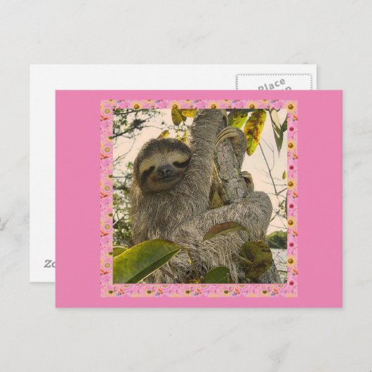 Faultier Postkarte (Vorne/Hinten)