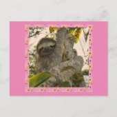 Faultier Postkarte (Vorderseite)