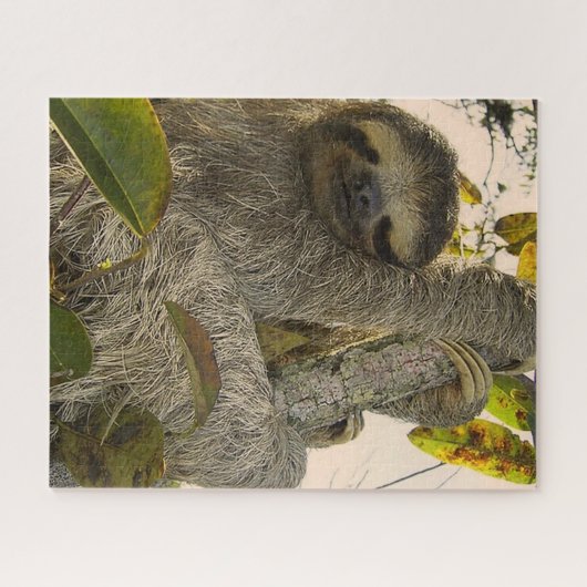 Faultier Puzzle (Horizontal)