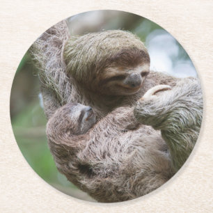 Faultierbaby mit Mutter an einem Baum hängend Runder Pappuntersetzer