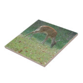 Faun, Baby Deer at Lake Arrowhead Fliese (Seite)