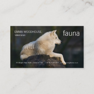 Fauna - arktische Wolf-Visitenkarte Visitenkarte