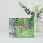 Fauna im Juli Postkarte (Stehend Vorderseite)