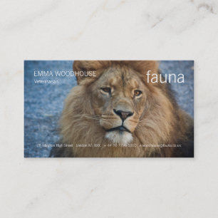 Fauna - Löwe-Visitenkarte Visitenkarte