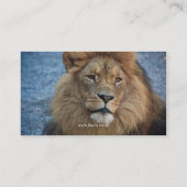 Fauna - Löwe-Visitenkarte Visitenkarte (Rückseite)