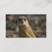 Fauna - Meerkat Visitenkarte (Rückseite)