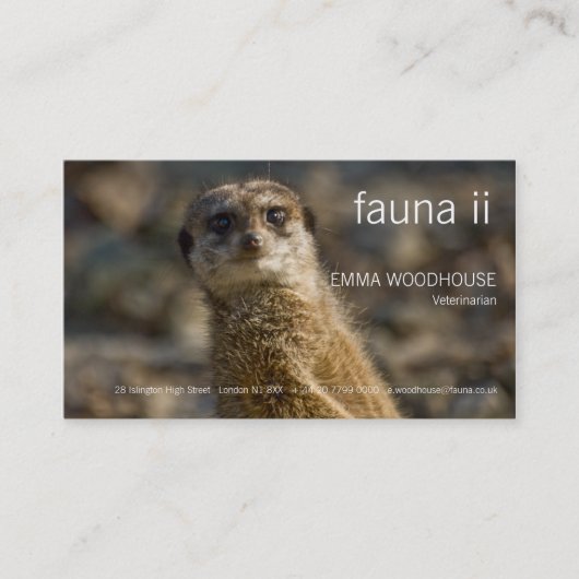 Fauna - Meerkat Visitenkarte (Vorderseite)