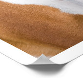 Fauna und White Boxer Stehend Poster (Ecke)