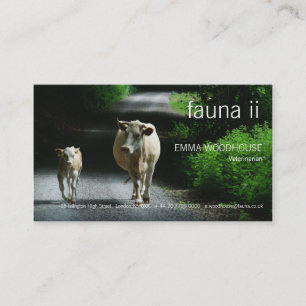 Fauna - zwei Kühe auf der Bummel Visitenkarte