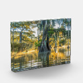 Fausse Staat Park/Garten Fotoblock (Links)