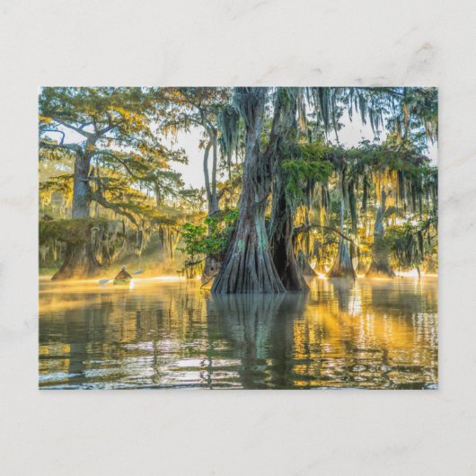 Fausse Staat Park/Garten Postkarte (Vorderseite)