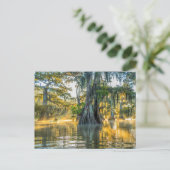 Fausse Staat Park/Garten Postkarte (Stehend Vorderseite)