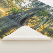 Fausse Staat Park/Garten Sherpadecke (3/4)
