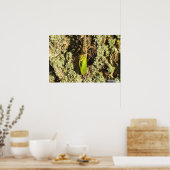 Faustreuer - Plakat (Küche)