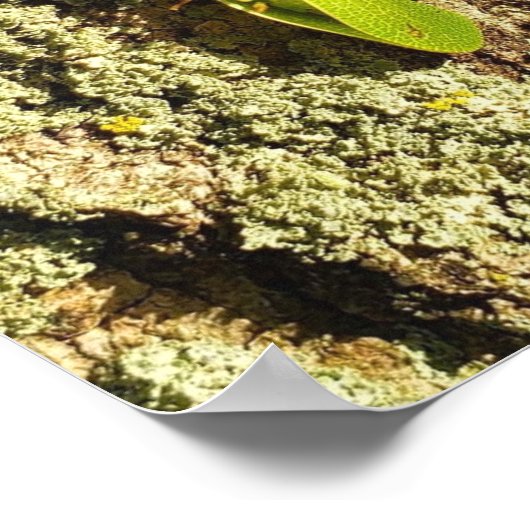 Faustreuer - Plakat (Ecke)