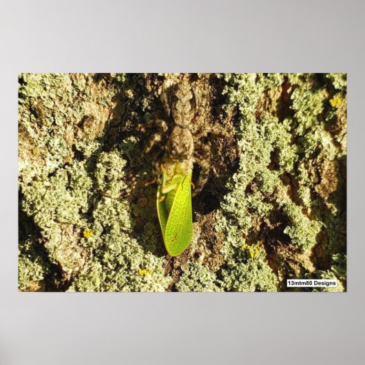 Faustreuer - Plakat (Vorne)
