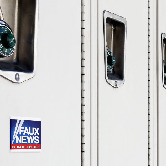Faux News Magnet (In Situ (Schrank))