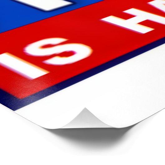 Faux News Poster (Ecke)