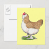 Faverolle Hen Postkarte (Vorne/Hinten)