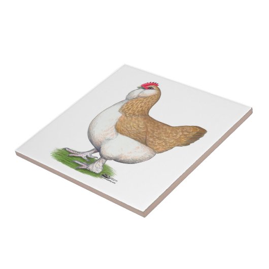 Faverolle Henne Fliese (Seite)