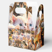 Favor Box Geschenkschachtel (Geöffnet)