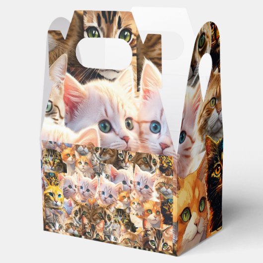 Favor Box Geschenkschachtel (Geöffnet)