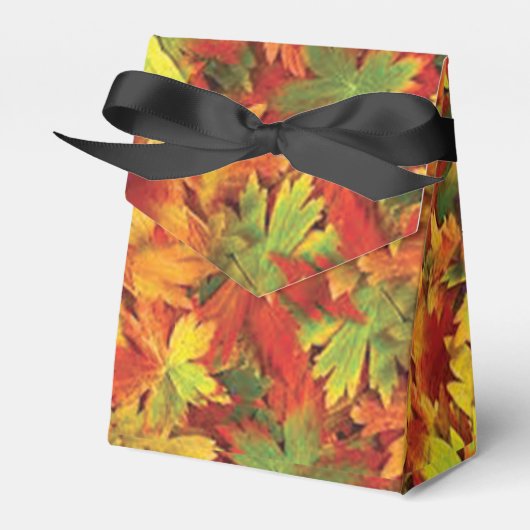 Favor Box Geschenkschachtel (Vorderseite)