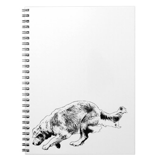 Favorit, Ideen im Inneren Notizblock (Vorderseite)