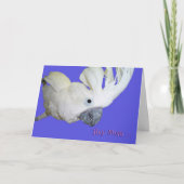 Favorit Karte (Vorderseite)