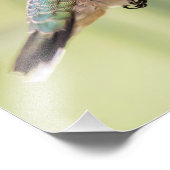 Favorite Fuchsia Hummingbird Fotodruck (Ecke)