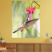 Favorite Fuchsia Hummingbird Leinwanddruck (Insitu (Wohnzimmer))