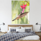 Favorite Fuchsia Hummingbird Leinwanddruck (Insitu (Schlafzimmer))