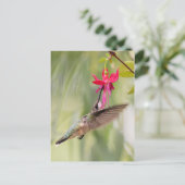 Favorite Fuchsia Hummingbird Postkarte (Stehend Vorderseite)