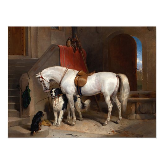 Favoriten, Eigentum von Prinz George von Cambridge Fotodruck (Vorne)