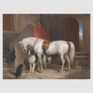 Favoriten, Eigentum von Prinz George von Cambridge Seidenpapier