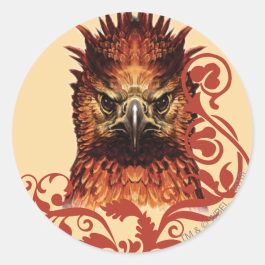 Fawkes Anstarren Runder Aufkleber (Vorderseite)