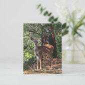 FAWN #2 POSTKARTE (Stehend Vorderseite)