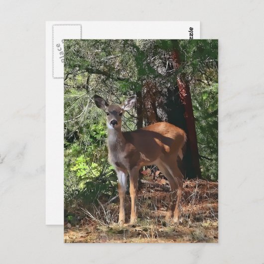 FAWN #2 POSTKARTE (Vorne/Hinten)