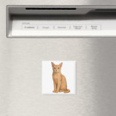Fawn Abyssinian Magnet (In Situ (Geschirrspüler))