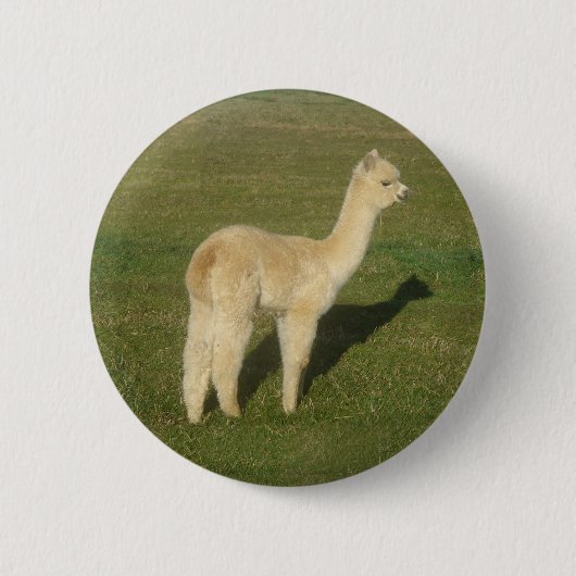 Fawn Alpaca Button (Vorderseite)