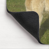 Fawn Alpaca Mousepad (Ecke)